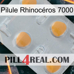 Pilule Rhinocéros 7000 24